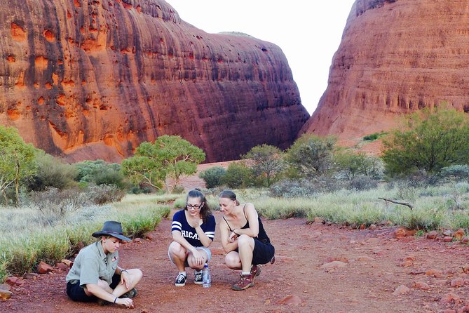 Afternoon Kata Tjuta Small Group Tour - Logistics and Accessibility