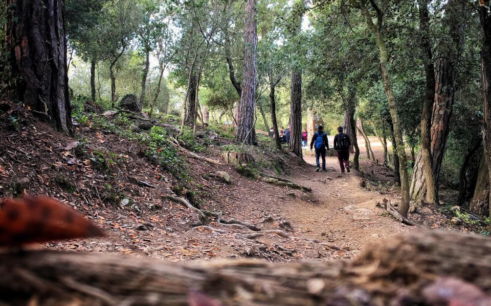 Barcelona Secret Forest: Nature Hike & Best Views - Highlighted Experiences