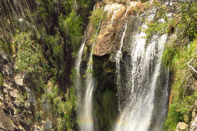 Beyond Byron Hinterland Tour - Delicious Food and Drink