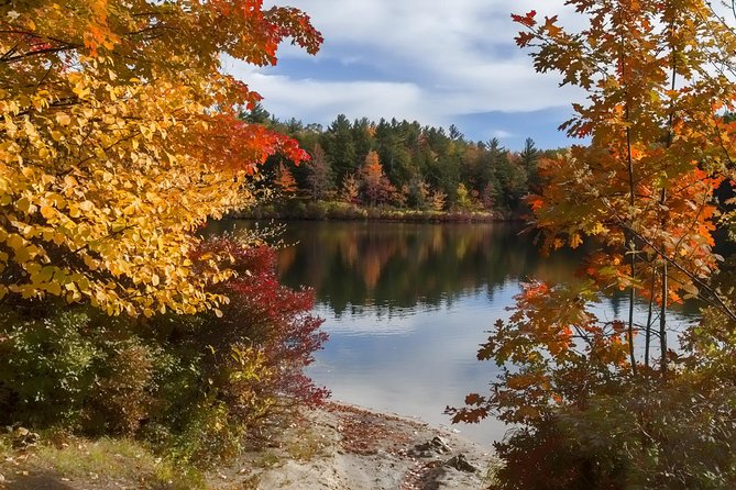 Boston to New Hampshire Fall Foliage White Mountains Day Trip - Customer Reviews