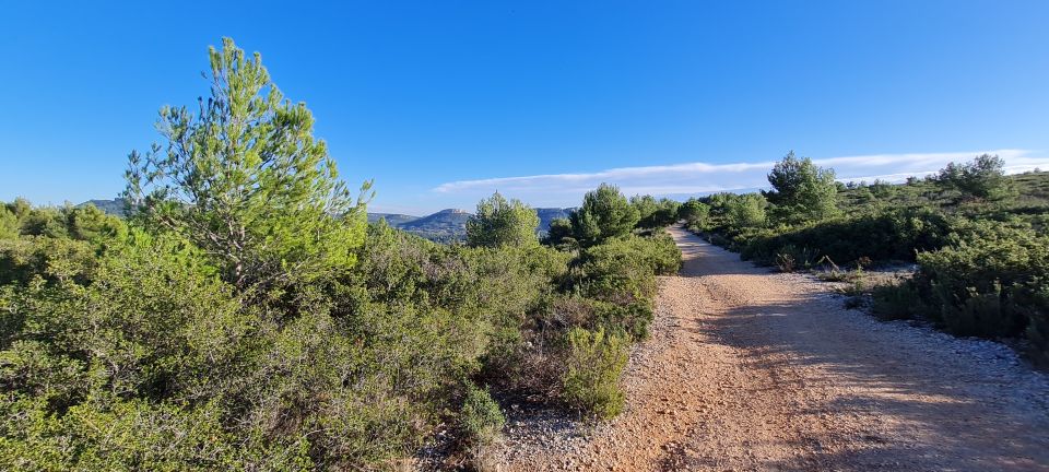 Calanques National Park: E-Mountain Bike With Virtual Guide - Important Requirements and Rules