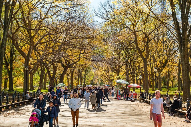 Central Park Private Pedicab Tour (60 Mins) - Overview of the Tour