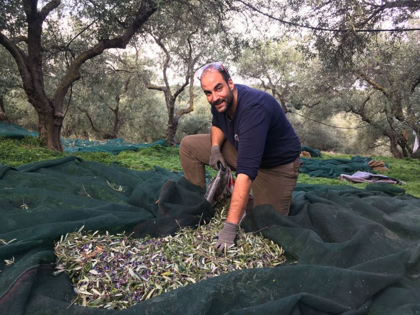 Chania Olive Oil Tour: Olive Oil Tasting & Bio Fruits Tour - Tour Itinerary