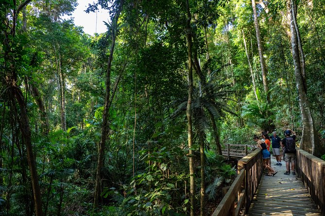 Daintree Rainforest and Mossman Gorge: Full or Half Day Tour - What to Expect on Tour