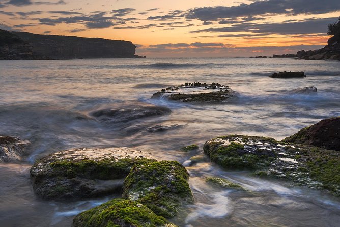 Day Trip To Cronulla & The Royal National Park - Customized Tour Experience