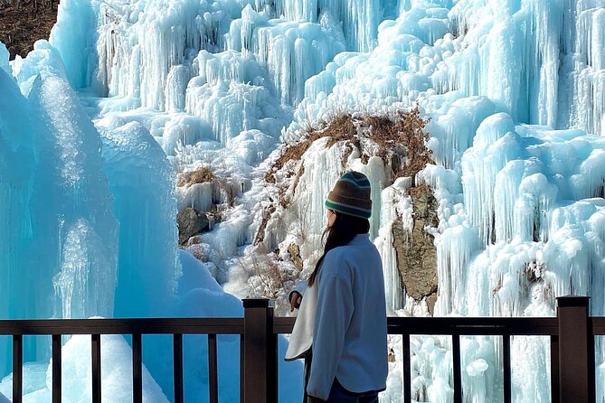 Eobi Ice Valley & Nami Island & Garden of Morning Calm Lighting Festival [Seoul] - Booking and Availability Details