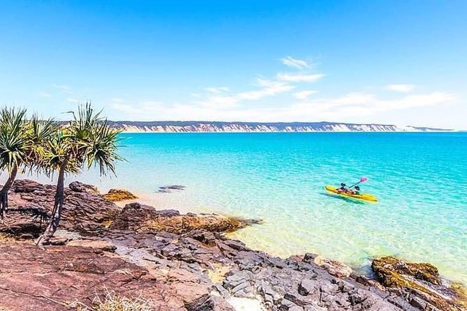 Epic Kayak With Dolphins & Wildlife - 4WD Beach Adventure Noosa - Scenic Drive and Ferry Ride