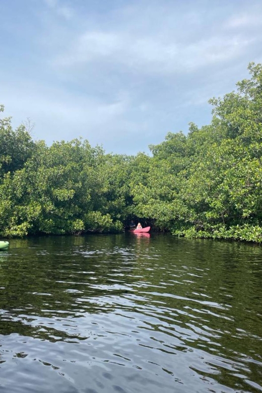 Everglades Kayak Eco Tour - Booking Information