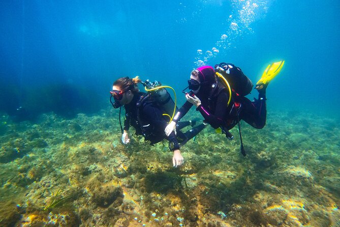 First Dive 60 Minutes in Saint-Raphaël - Post-Dive Reflections