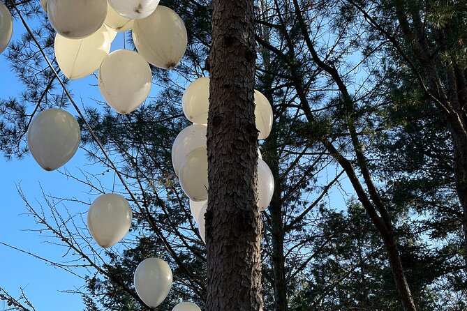 Four Seasons of Nami Island With Garden of Morning Calm Tour - Exploring Nami Islands History