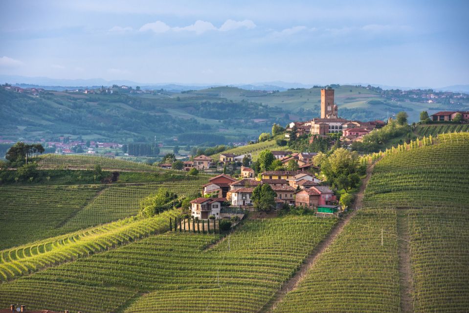 From Turin: Half-Day Truffle Hunting and Lunch in Piedmont - Customer Review