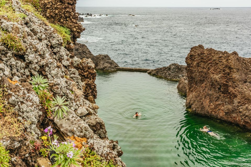 Funchal: Discover the Natural Beauty of Porto Moniz & Seixal - Important Information