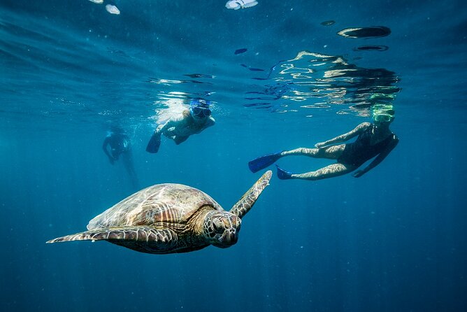 Great Barrier Reef Full Day Adventure - Meeting Points and Pickup Details