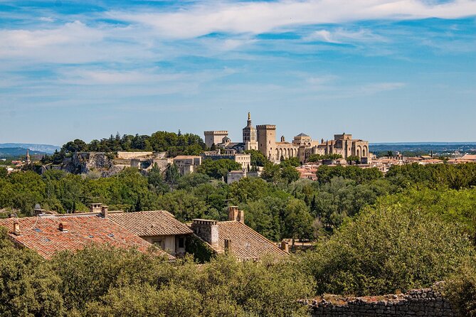 Guided Tour of Avignon - Pricing Details and Inclusions