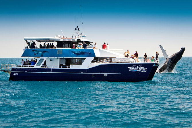 Hervey Bay Whale Watching Cruise - Meeting and Pickup Points