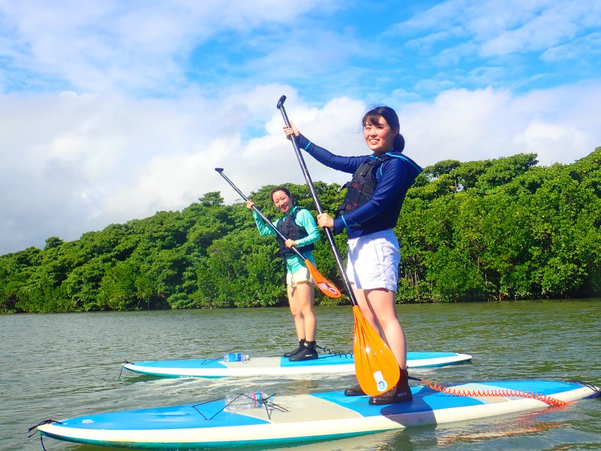 Ishigaki Island: 2-Hour Miyara River Kayaking Tour - Review Summary