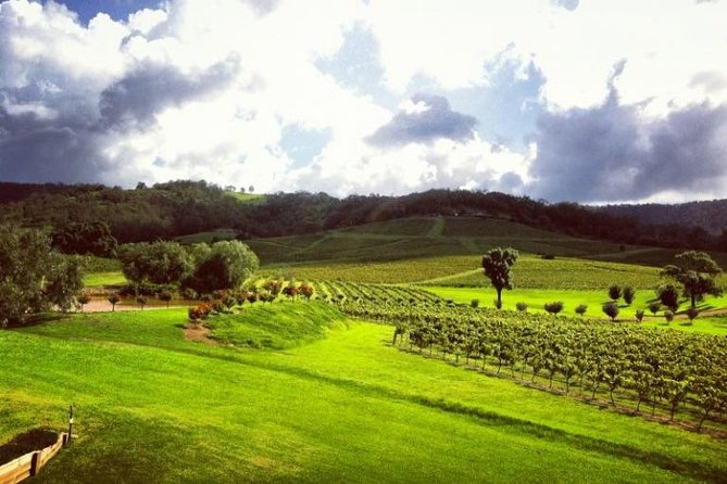 Ivanhoe Wines: Trip Advisor Premium Wine Tasting - Reviews and Ratings Summary