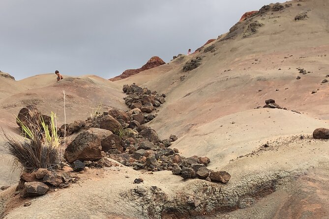 Kauais Waimea Canyon and South Side Private Guided Tour - Customer Experience and Reviews