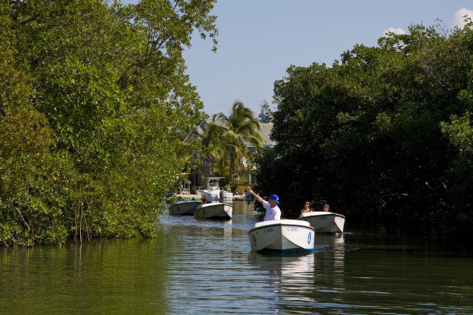 Key West: Eco Safari Tour With Snorkeling - Logistics & Ratings