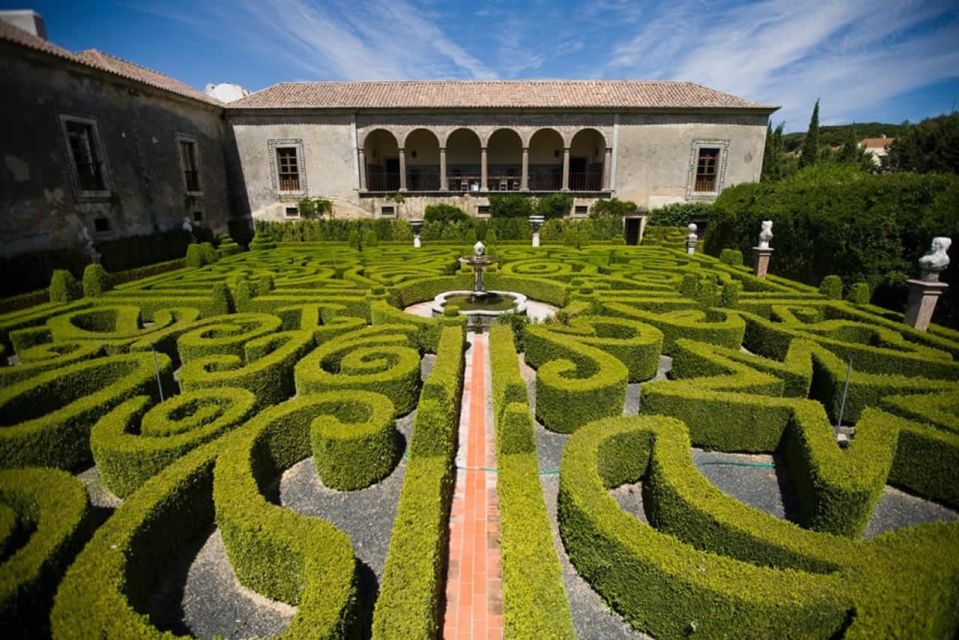 Lisbon: Private Full-Day Wine Tasting Tour in a Tesla Car - Important Information