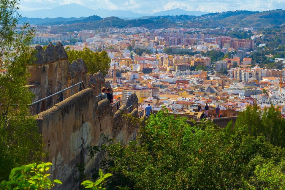 Malaga: Private Exclusive History Tour With a Local Expert - Booking