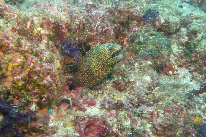 Marietas Islands National Park Excursion for Certified Divers - Cancellation and Refund Policy