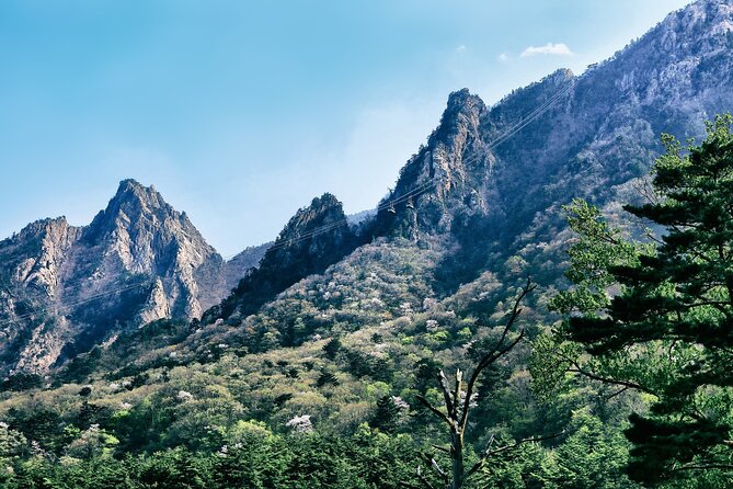 Mt. Seorak & The Tallest Ginko Tree at Yongmunsa - Meeting Points and Transportation