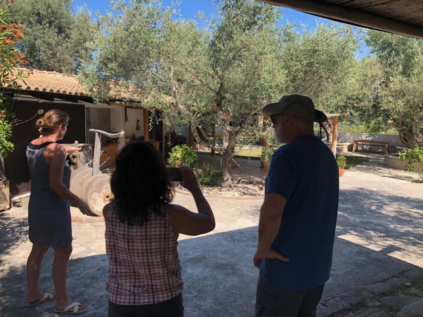 Olive Grove Tour & Olive Oil Tasting and Lunch in Messinia - Olive Oil Tasting Workshop