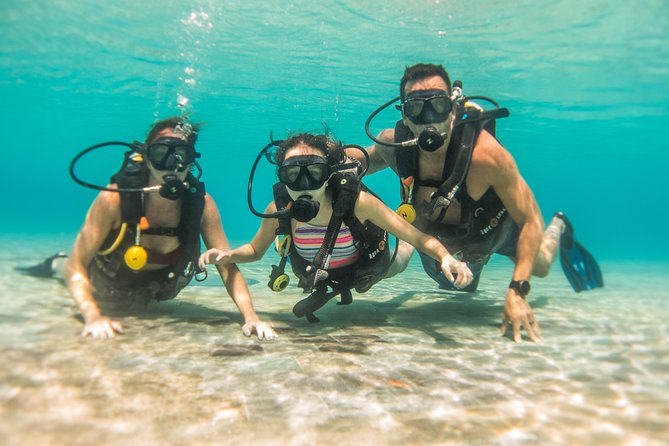 Open Water Course Cozumel - Course Structure Breakdown