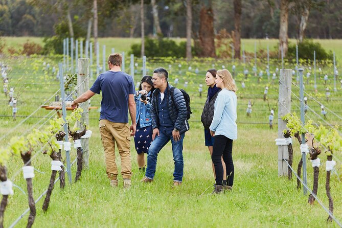 Organic Vineyard/Farm Tour - Reviews and Ratings Summary