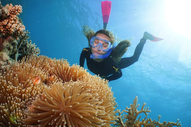 Quicksilver Outer Great Barrier Reef Snorkel Cruise From Palm Cove - Important Safety Information