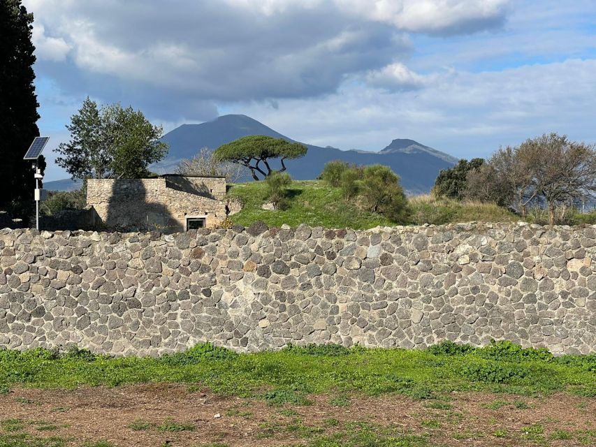 Rome: Pompeii and Naples Private Day Tour With Pizza Tasting - Important Information