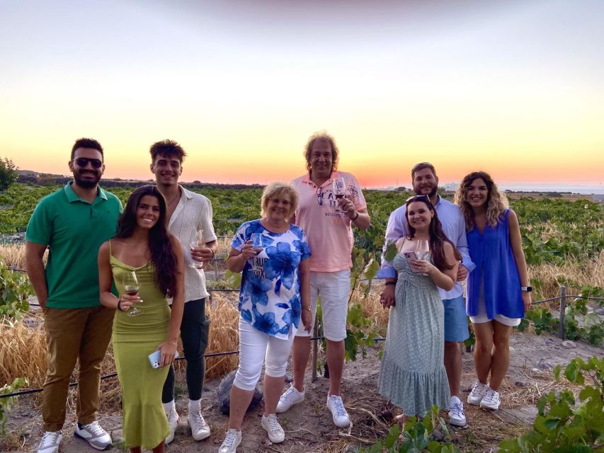 Santorini: Vineyard and Winery Tour With Cooking Class - Customer Review