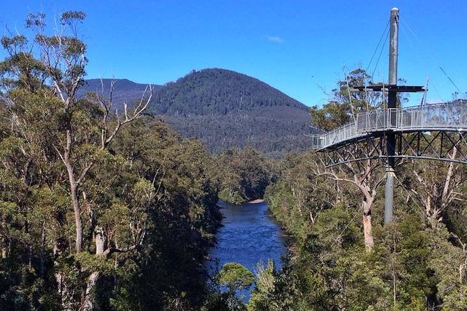 Tahune Airwalk & Hastings Cave Active Day Tour From Hobart - Meeting and Pickup Information