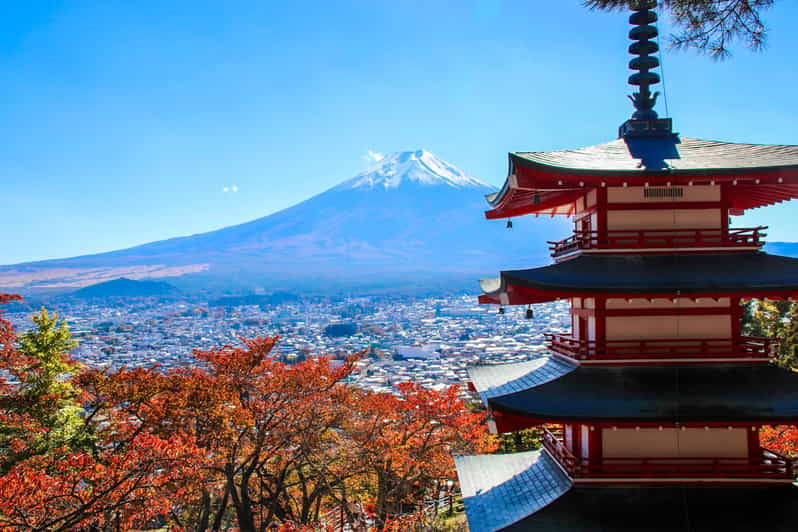 Tokyo: Mount Fuji and Lake Kawaguchi Scenic 1-Day Bus Tour - Participant Information and Reviews