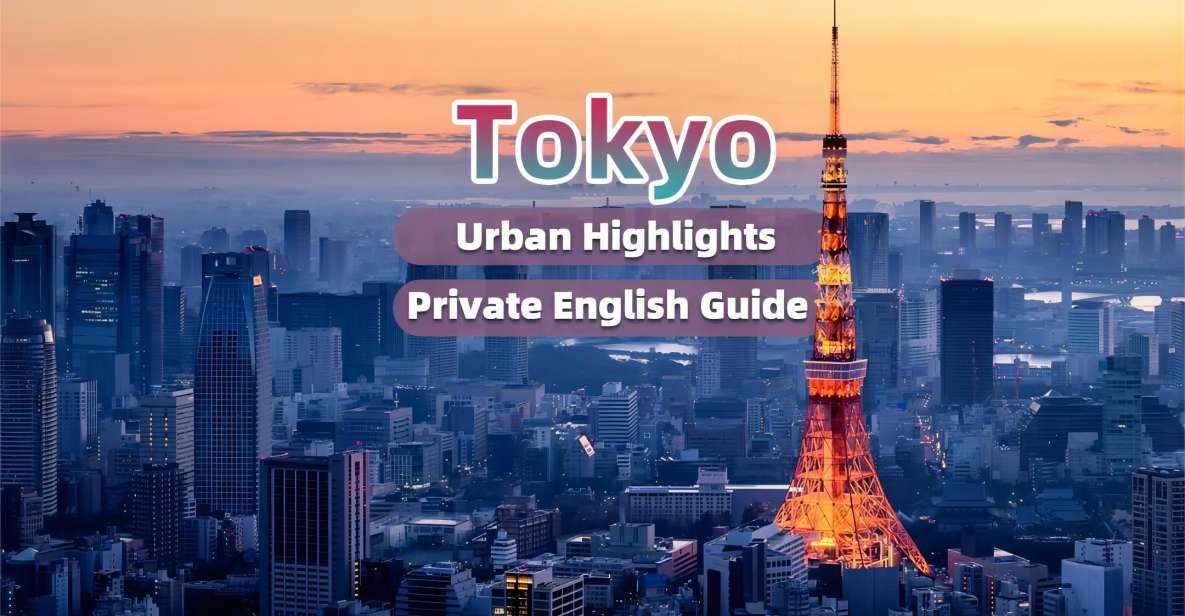 Tokyo Urban Highlight Expert English Guide Private Tour - Additional Information and Customer Reviews