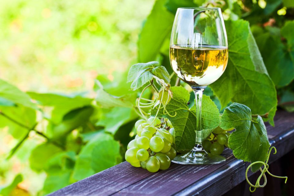 Vinho Verde Full-Day Premium Wine Tour - Highlights and Inclusions