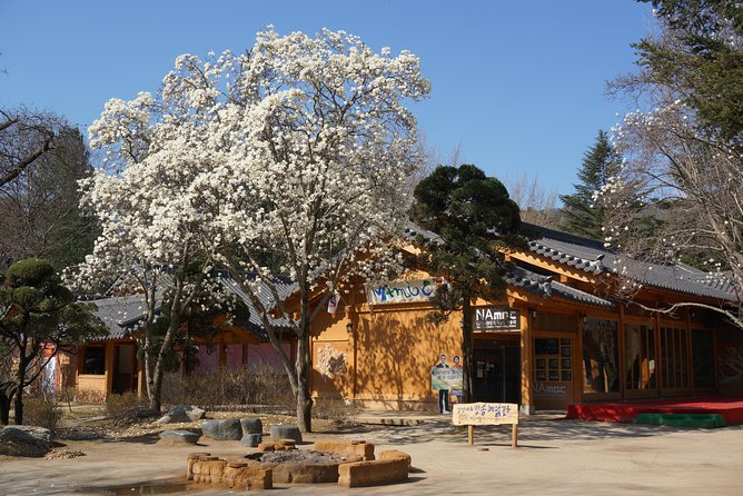 2 Days Private Tour : Mt Seorak & Naksansa Temple & Nami Island From Seoul - Tour Logistics and Rules