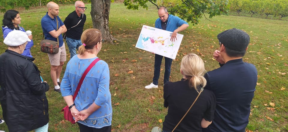 Afternoon- Wine Tour in Touraine From Tours or Amboise - Activity Description