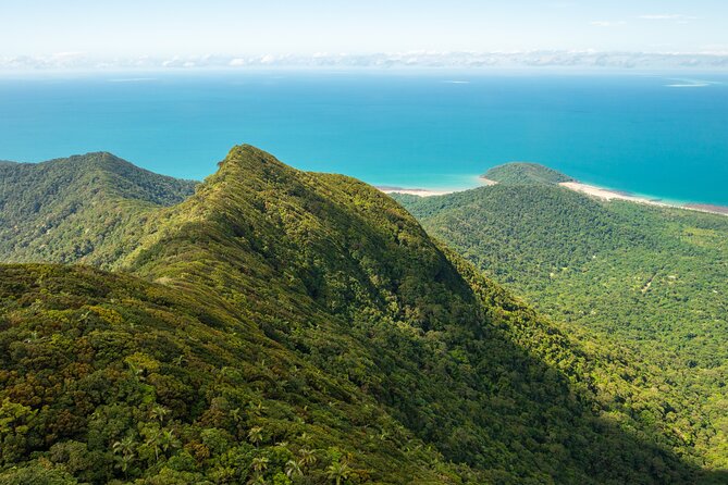 Amazing Daintree Rainforest Tour Waterfall Hike, Lunch, Swim & Crocodile Cruise - Meeting and Pickup Essentials