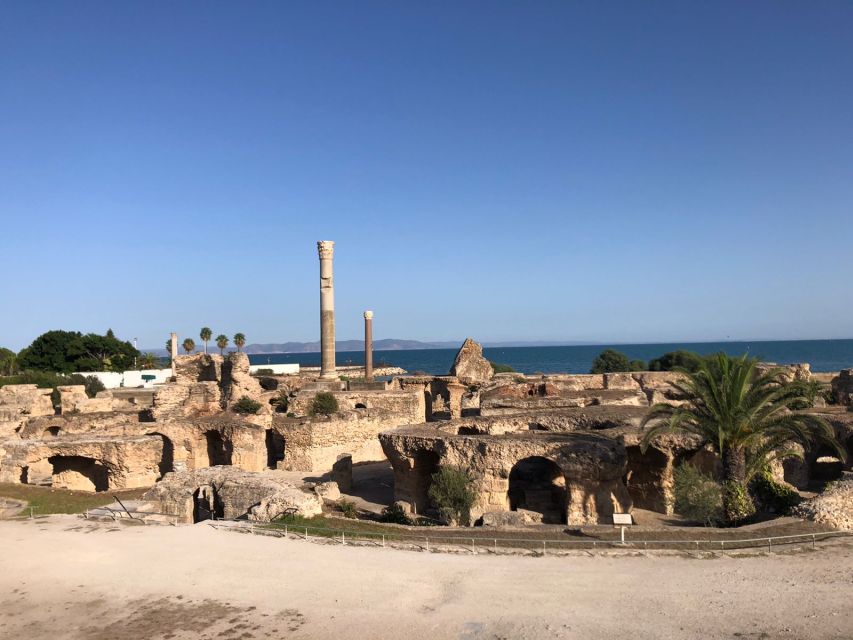 Carthage: Guided Bike Tour of the Archaeological Site - Experience Highlights