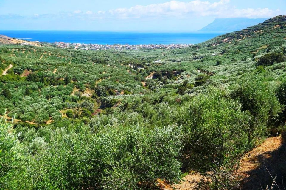 Crete Olive Oil Tasting ,Wine, Raki, and Cretan Food! - Customer Reviews