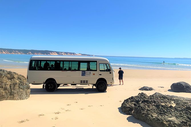 Epic Kayak With Dolphins & Wildlife - 4WD Beach Adventure Noosa - Whats Included in the Tour