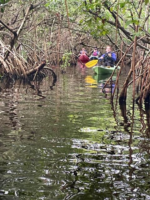 Everglades Kayak Eco Tour - Inclusions