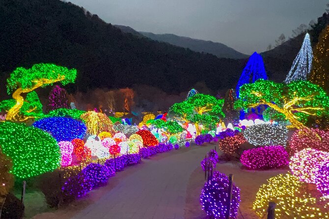 Four Seasons of Nami Island With Garden of Morning Calm Tour - A Glimpse of Korean Culture