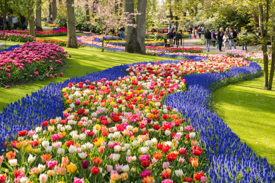 From Amsterdam: Keukenhof Entrance and Public Bus Transfer - Meeting Point Directions