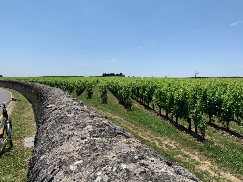 From Bordeaux: Saint-Emilion Guided Wine Tasting Tour - Booking Information