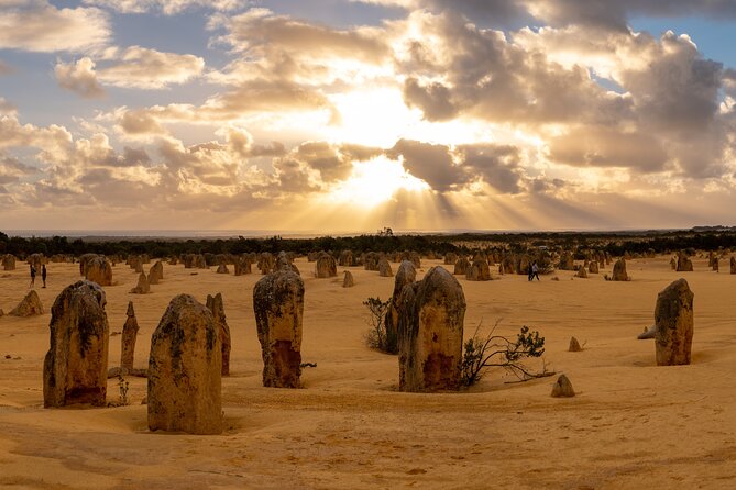 Full-Day Pinnacles Desert and Yanchep National Park Tour From Perth - Scenic Drives and Landscapes