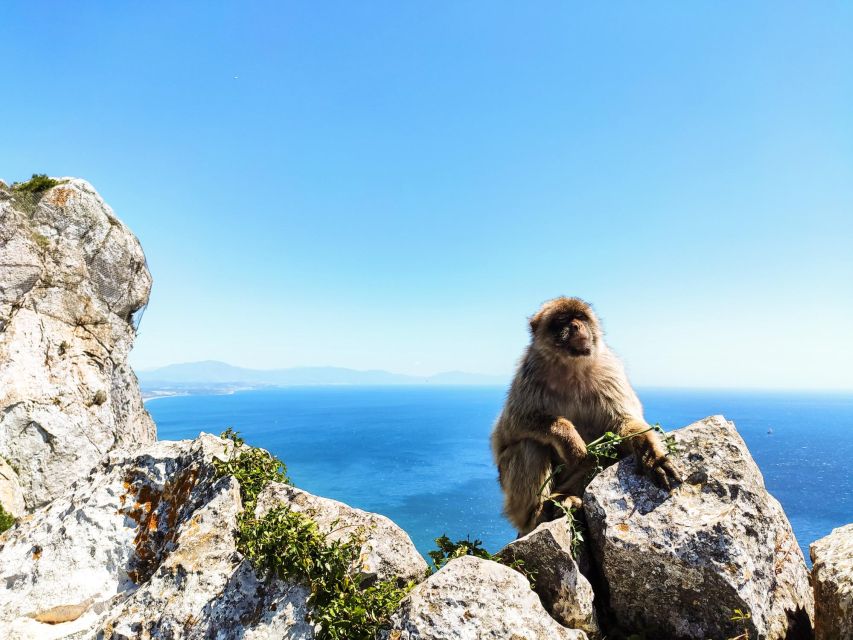 Gibraltar: Premium Private Day Trip & Rock Tour - Itinerary Details