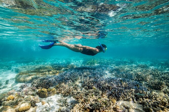 Great Barrier Reef Full Day Adventure - What Our Customers Are Saying